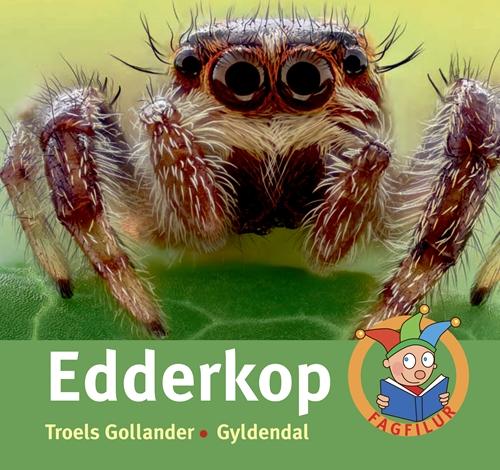 Fagfilur: Edderkop - Troels Gollander - Livros - Gyldendal - 9788702239072 - 2 de junho de 2017