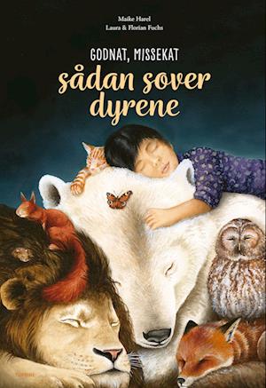 Cover for Maike Harel · Godnat, missekat – sådan sover dyrene (Gebundenes Buch) [1. Ausgabe] (2023)