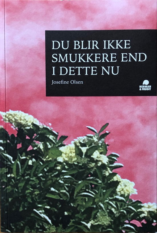 Du blir ikke smukkere end i dette nu - Josefine Olsen - Books - Herman & Frudit - 9788793671072 - September 7, 2020