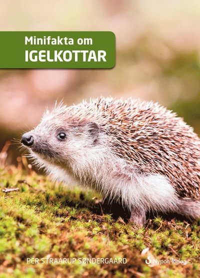 Cover for Per Straarup Søndergaard · Minifakta om ...: Minifakta om igelkottar (Innbunden bok) (2018)
