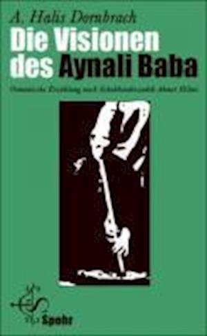 Hilmi · Visionen d.Aynali Baba (Book)