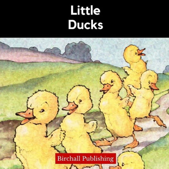 Cover for Birchall Publishing · Little Ducks - Rhymes for Early Readers (Paperback Book) (2020)