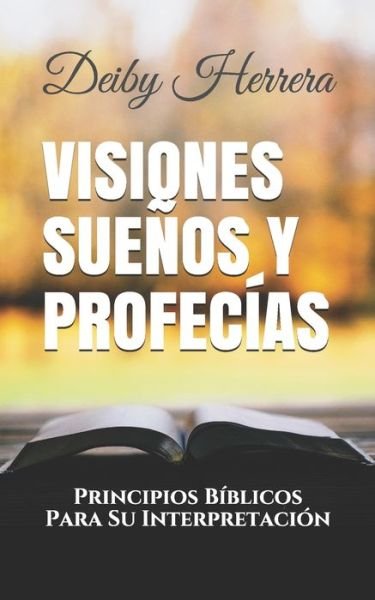 Cover for Deiby Herrera · Visiones Suenos y Profecias (Pocketbok) (2020)