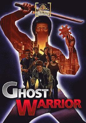 Cover for Ghost Warrior (DVD) (2011)