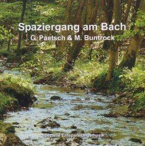 Cover for Buntrock, Martin &amp; Paetsch, Gerald: Spaziergang am (CD) (2016)