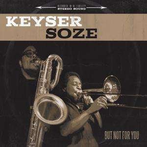 Cover for Keyser Soze · But Not For You (CD) (2013)