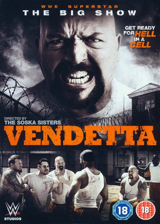 Vendetta - Vendetta - Films - Lionsgate - 5055761906073 - 31 augustus 2015