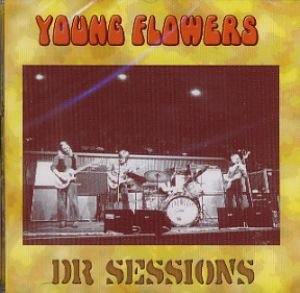 Dr. Sessions - Young Flowers - Musiikki - KARMA - 5706876562073 - torstai 11. joulukuuta 2003