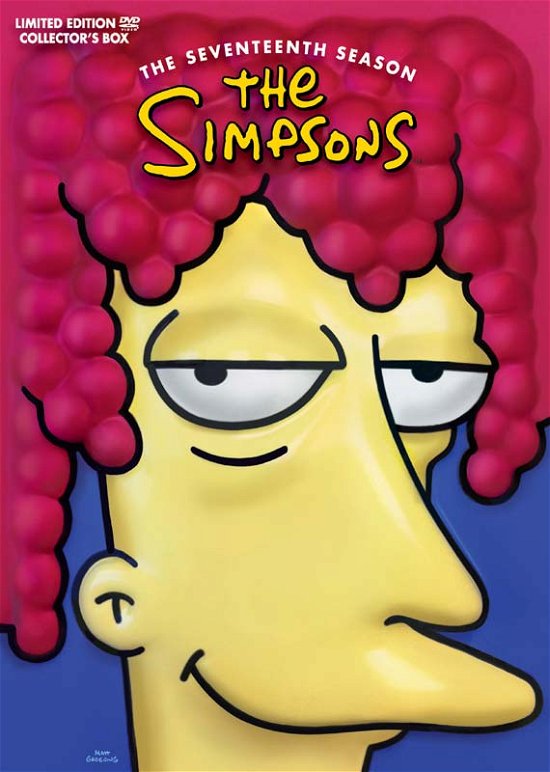 Cover for The Simpsons · The Simpsons Season 17 - Head Version Dv (DVD) (2014)