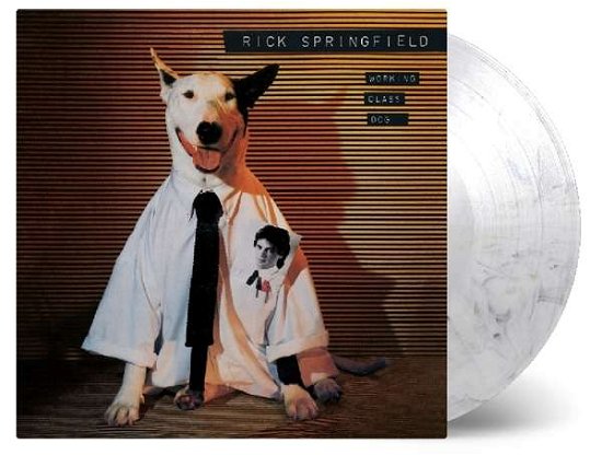 Rick Springfield-working Class Dog -clrd- - LP - Música - MUSIC ON VINYL B.V. - 8719262009073 - 8 de março de 2019