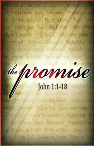 The Promise - Lisa Christine Christiansen - Books - Penguin International Publishing - 9780692551073 - January 31, 2016