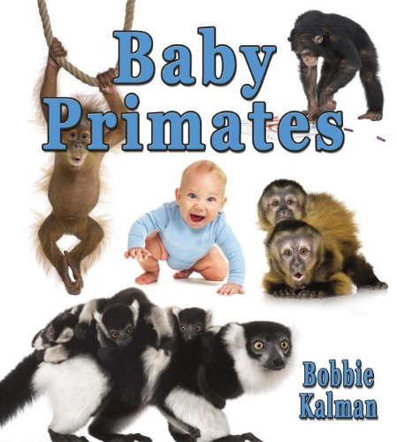 Cover for Bobbie Kalman · Baby Primates (It's Fun to Learn About Baby Animals) (Hardcover Book) (2013)
