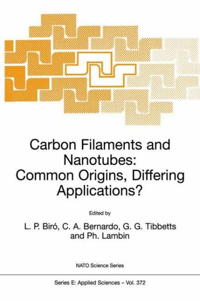 Cover for Biro · Carbon Filaments and Nanotubes: Common Origins, Differing Applications? - Nato Science Series E: (Inbunden Bok) [2001 edition] (2001)