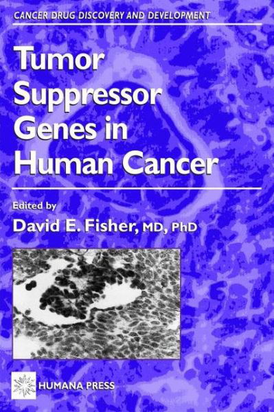 Tumor Suppressor Genes in Human Cancer - Cancer Drug Discovery and Development - Dvid E Fisher - Bøker - Humana Press Inc. - 9780896038073 - 26. oktober 2000