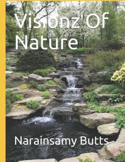 Cover for Narainsamy H Butts · Visionz of Nature (Paperback Book) (2019)