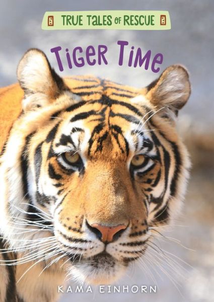 Tiger Time - True Tales of Rescue - Kama Einhorn - Książki - HarperCollins - 9781328767073 - 29 października 2019