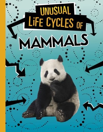 Cover for Jaclyn Jaycox · Unusual Life Cycles of Mammals - Unusual Life Cycles (Hardcover bog) (2022)