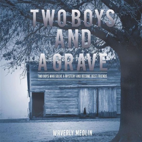 Cover for Waverly Medlin · Two Boys and a Grave (Taschenbuch) (2017)