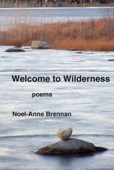 Cover for Noel-Anne Brennan · Welcome to Wilderness (Paperback Book) (2017)