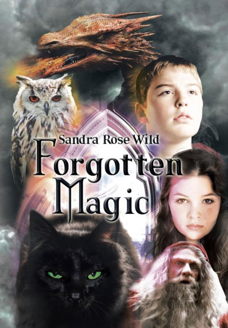 Cover for Sandra Rose Wild · Forgotten Magic (Hardcover Book) (2016)