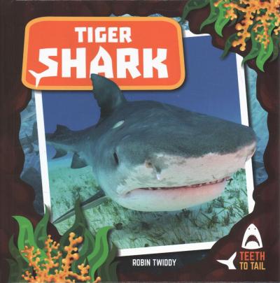 Cover for Robin Twiddy · Tiger Shark (Hardcover Book) (2019)