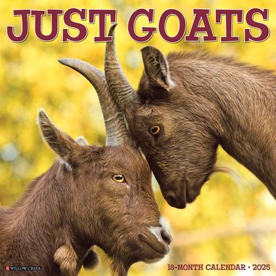 Goats 2025 12 X 12 Wall Calendar - Willow Creek Press - Gadżety - Willow Creek Press Calendars - 9781549243073 - 10 września 2024