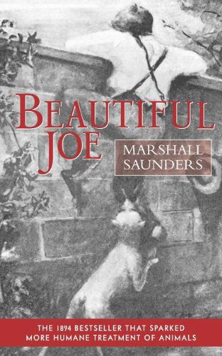 Beautiful Joe (Paperback) - Marshall Saunders - Książki - Applewood Books - 9781557093073 - 1 maja 1999