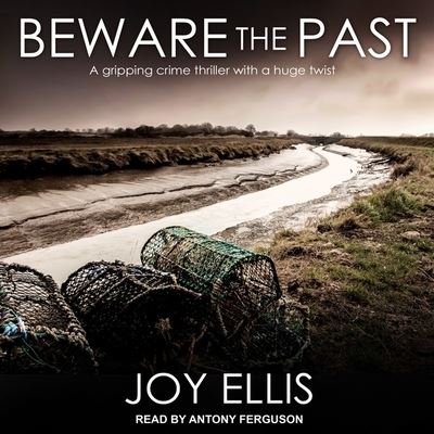 Cover for Joy Ellis · Beware the Past Lib/E (CD) (2018)