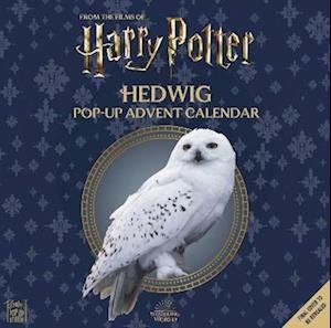 Harry Potter: Hedwig Pop-up Advent Calendar - Matthew Reinhart - Merchandise - Titan Books Ltd - 9781803363073 - 13. September 2022