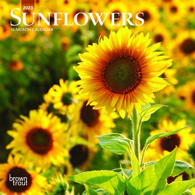 Cover for Browntrout · Sunflowers 2023 Mini 7x7 (Calendar) (2022)