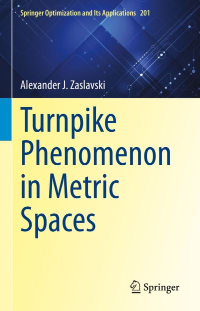 Turnpike Phenomenon in Metric Spaces - Springer Optimization and Its Applications - Alexander J. Zaslavski - Livros - Springer International Publishing AG - 9783031272073 - 18 de abril de 2023