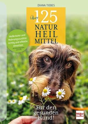 Cover for Diana Tiebes · Über 125 Naturheilmittel Für den gesunden Hund! (Book) (2024)