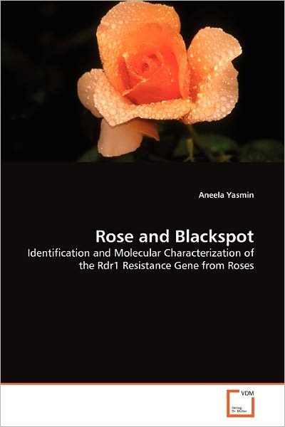 Cover for Aneela Yasmin · Rose and Blackspot: Identification and Molecular Characterization of the Rdr1 Resistance Gene from Roses (Paperback Bog) (2011)