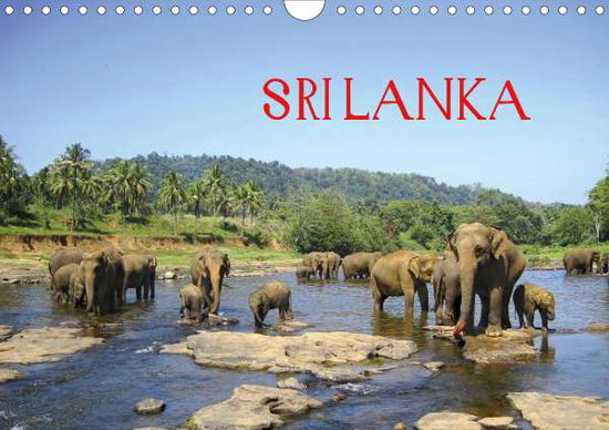 Cover for Rasch · Sri Lanka (Wandkalender 2020 DIN (Book)