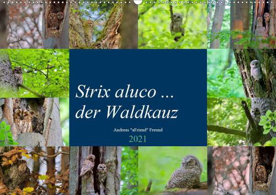 Strix aluco ... der Waldkauz (Wa - Freund - Książki -  - 9783672381073 - 