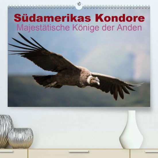 Südamerikas Kondore - Majestätische - Bob - Books -  - 9783672534073 - 