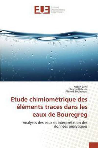 Cover for Zerki · Etude chimiométrique des éléments (Bog) (2018)
