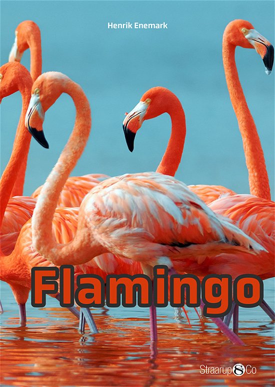 Cover for Henrik Enemark · Mini: Flamingo (Hardcover bog) [1. udgave] (2019)