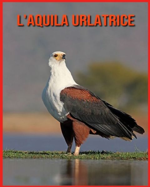 Cover for Linda Davis · L'aquila Urlatrice: Fatti di apprendimento divertenti sui L'aquila Urlatrice (Paperback Book) (2021)