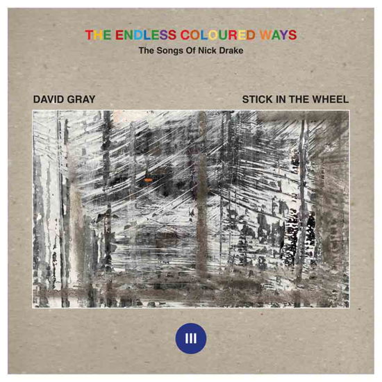The Endless Coloured Ways: the Songs of Nick Drake - David Gray / Stick in the Wheel - Musiikki - CHRYSALIS - 0810098500074 - perjantai 5. toukokuuta 2023