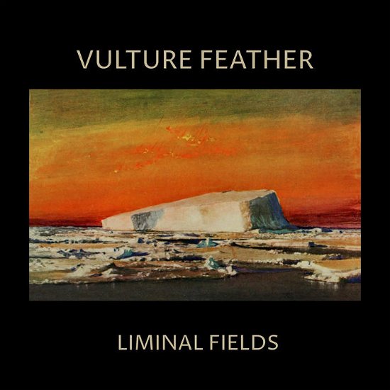 Cover for Vulture Feather · Liminal Fields (Ltd Bone Vinyl) (LP) [Coloured edition] (2023)