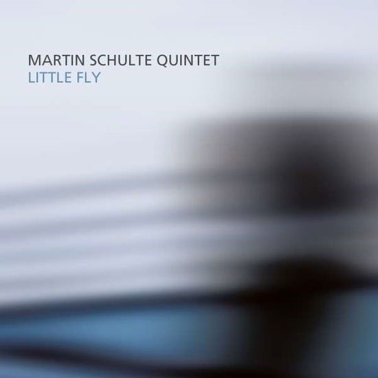 Cover for Martin Schulte Next Gate Quintet · Little Fly (CD) (2024)