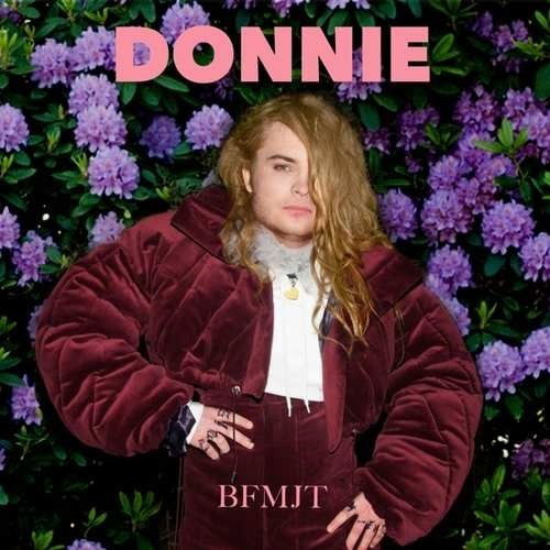 Cover for Donnie · Animation - Missing Lynx (CD) (2023)