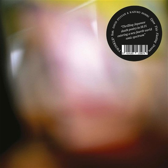 Cover for Twinkle3 / Sylvian,david / Hohki,kazuko · Upon This Fleeting Dream (LP) (2023)