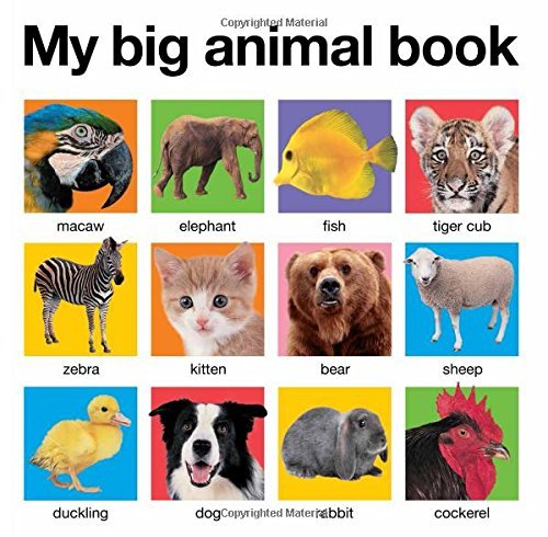 Cover for Roger Priddy · My Big Animal Book - My Big Board Books (Board book) [Brdbk edition] (2011)