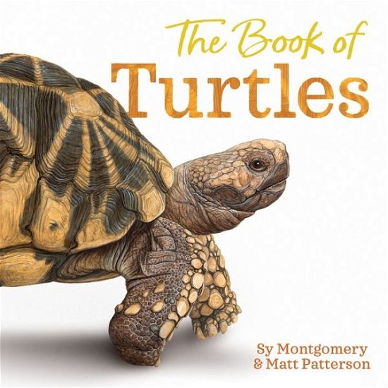 Cover for Sy Montgomery · The Book of Turtles (Gebundenes Buch) (2023)