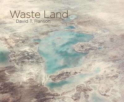 Cover for Wendell Berry · Waste Land (Book) (2018)