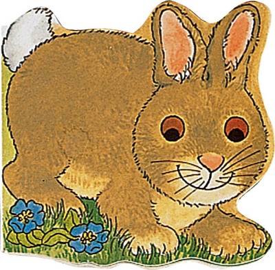 Cover for M. Twinn · Pocket Bunny - Pocket Pals (Board book) (1995)