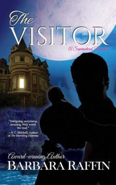 Cover for Barbara Raffin · The Visitor (Hardcover Book) (2017)