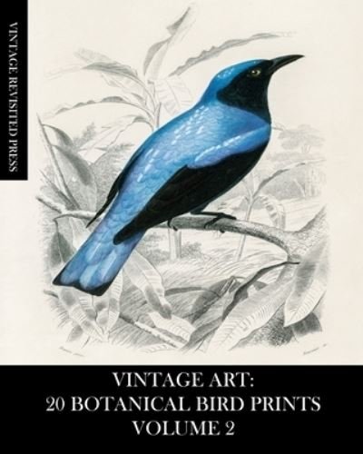 Cover for Vintage Revisited Press · Vintage Art (Paperback Book) (2024)